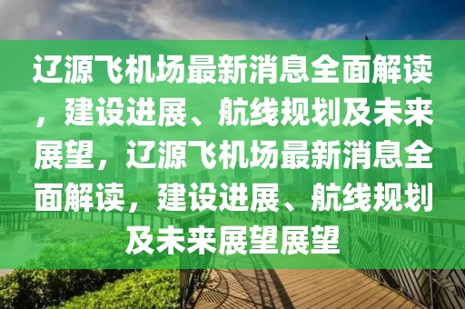 遼源飛機(jī)場(chǎng)最新消息全面解讀，建設(shè)進(jìn)展、航線規(guī)劃及未來(lái)展望，遼源飛機(jī)場(chǎng)最新消息全面解讀，建設(shè)進(jìn)展、航線規(guī)劃及未來(lái)展望展望
