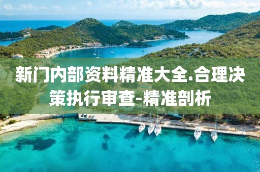 新門內(nèi)部資料精準(zhǔn)大全.合理決策執(zhí)行審查-精準(zhǔn)剖析