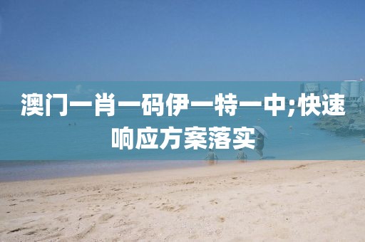 澳門一肖一碼伊一特一中;快速響應(yīng)方案落實(shí)