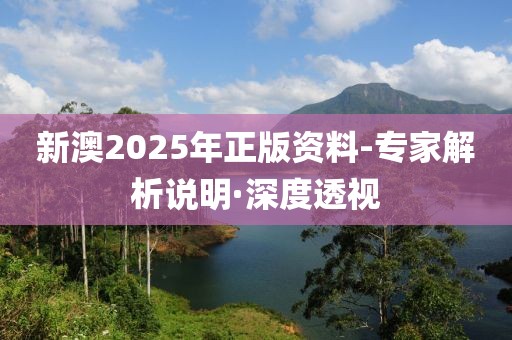 新澳2025年正版資料-專家解析說明·深度透視