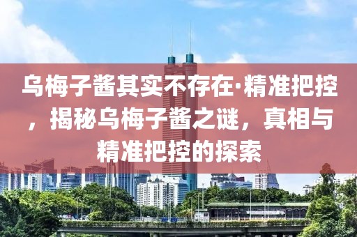烏梅子醬其實不存在·精準(zhǔn)把控，揭秘烏梅子醬之謎，真相與精準(zhǔn)把控的探索