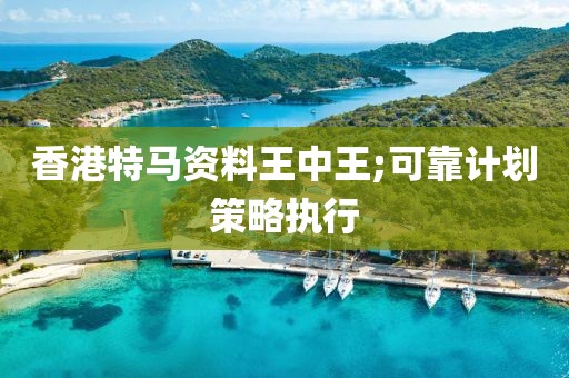 香港特馬資料王中王;可靠計(jì)劃策略執(zhí)行