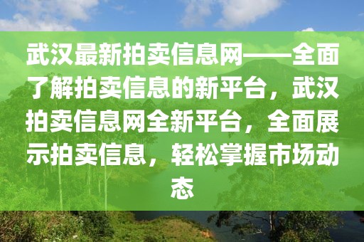 武漢最新拍賣信息網(wǎng)——全面了解拍賣信息的新平臺，武漢拍賣信息網(wǎng)全新平臺，全面展示拍賣信息，輕松掌握市場動態(tài)