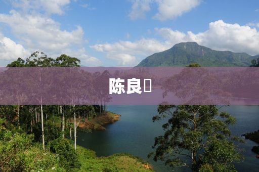 陳良焜