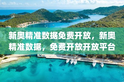 新奧精準(zhǔn)數(shù)據(jù)免費開放，新奧精準(zhǔn)數(shù)據(jù)，免費開放開放平臺