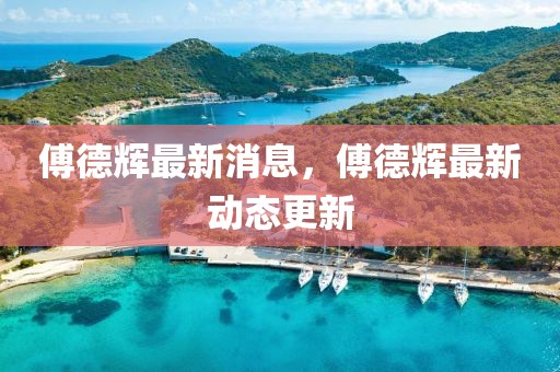 傅德輝最新消息，傅德輝最新動態(tài)更新