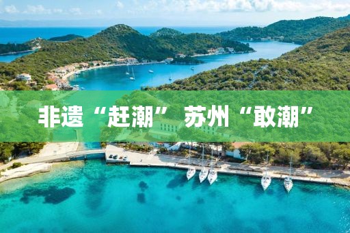 非遺“趕潮” 蘇州“敢潮”