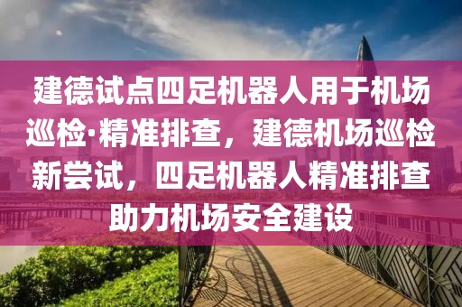 建德試點(diǎn)四足機(jī)器人用于機(jī)場巡檢·精準(zhǔn)排查，建德機(jī)場巡檢新嘗試，四足機(jī)器人精準(zhǔn)排查助力機(jī)場安全建設(shè)