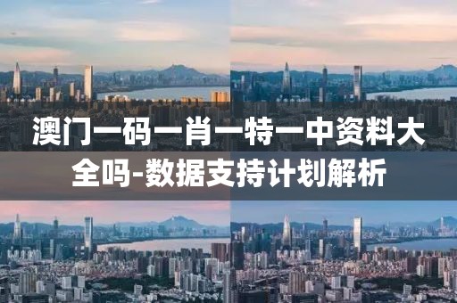 澳門一碼一肖一特一中資料大全嗎-數(shù)據(jù)支持計劃解析