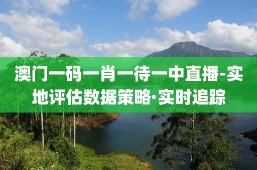 澳門一碼一肖一待一中直播-實(shí)地評估數(shù)據(jù)策略·實(shí)時(shí)追蹤