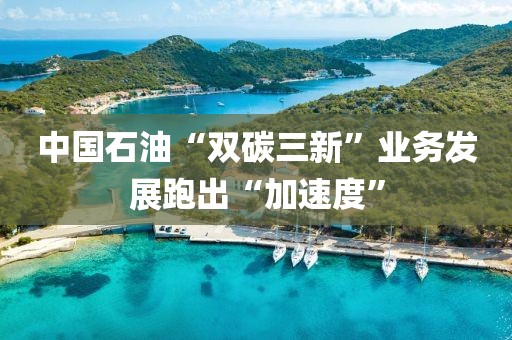 中國(guó)石油“雙碳三新”業(yè)務(wù)發(fā)展跑出“加速度”
