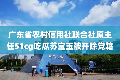 廣東省農(nóng)村信用社聯(lián)合社原主任51cg吃瓜蘇寶玉被開除黨籍