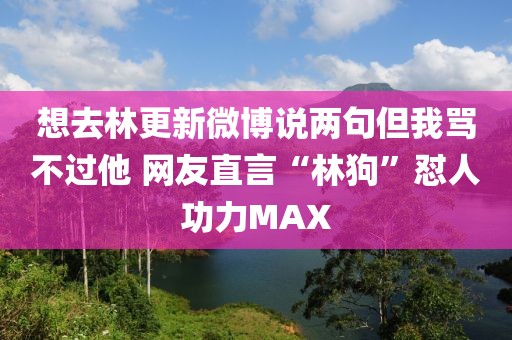 想去林更新微博說兩句但我罵不過他 網(wǎng)友直言“林狗”懟人功力MAX