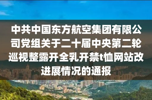 中共中國東方航空集團(tuán)有限公司黨組關(guān)于二十屆中央第二輪巡視整露開全乳開禁t恤網(wǎng)站改進(jìn)展情況的通報(bào)