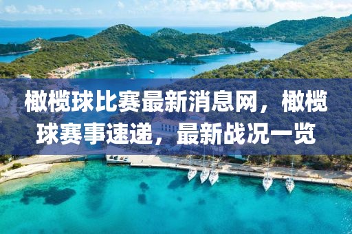 橄欖球比賽最新消息網(wǎng)，橄欖球賽事速遞，最新戰(zhàn)況一覽