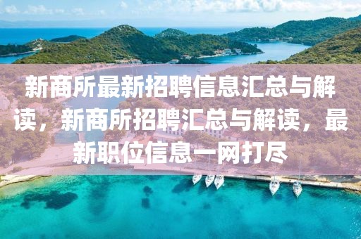 新商所最新招聘信息匯總與解讀，新商所招聘匯總與解讀，最新職位信息一網(wǎng)打盡