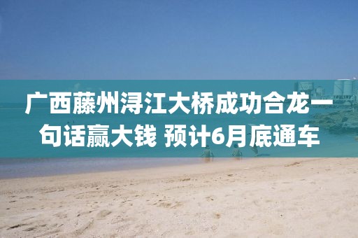 廣西藤州潯江大橋成功合龍一句話贏大錢 預(yù)計6月底通車
