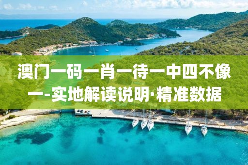 澳門一碼一肖一待一中四不像一-實地解讀說明·精準數(shù)據(jù)