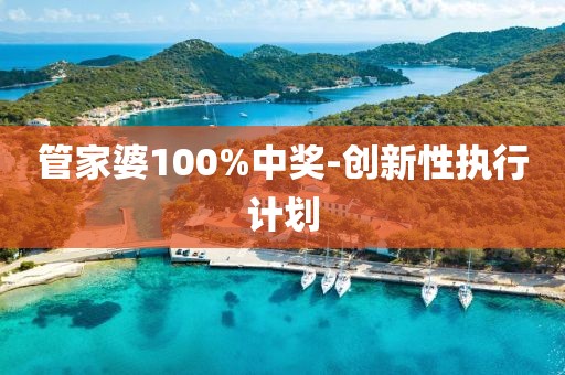 管家婆100%中獎-創(chuàng)新性執(zhí)行計劃