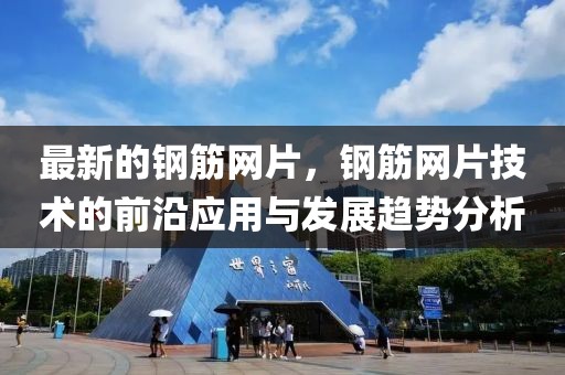 最新的鋼筋網(wǎng)片，鋼筋網(wǎng)片技術(shù)的前沿應(yīng)用與發(fā)展趨勢分析
