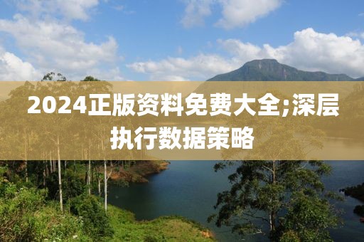 2024正版資料免費(fèi)大全;深層執(zhí)行數(shù)據(jù)策略