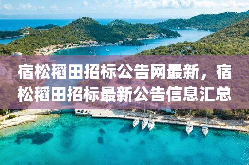 宿松稻田招標(biāo)公告網(wǎng)最新，宿松稻田招標(biāo)最新公告信息匯總
