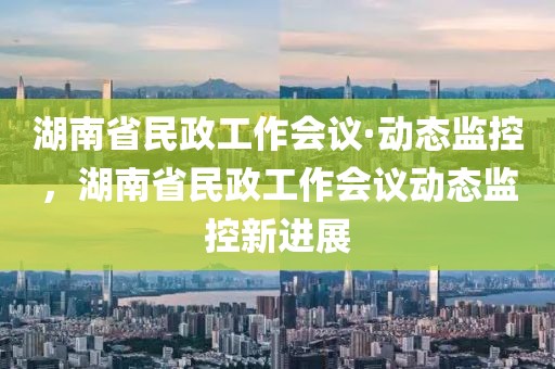 湖南省民政工作會議·動態(tài)監(jiān)控，湖南省民政工作會議動態(tài)監(jiān)控新進展
