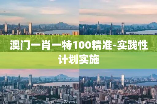 澳門一肖一特100精準-實踐性計劃實施