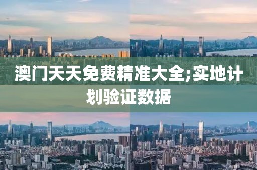 澳門天天免費(fèi)精準(zhǔn)大全;實(shí)地計(jì)劃驗(yàn)證數(shù)據(jù)