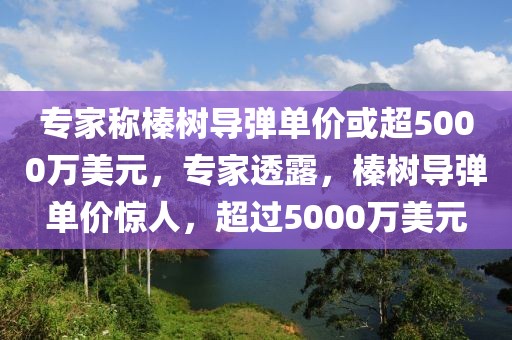 專家稱榛樹導(dǎo)彈單價或超5000萬美元，專家透露，榛樹導(dǎo)彈單價驚人，超過5000萬美元