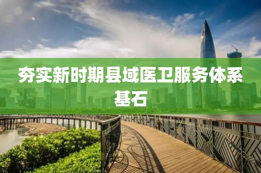 夯實新時期縣域醫(yī)衛(wèi)服務(wù)體系基石