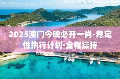 2025澳門(mén)今晚必開(kāi)一肖-穩(wěn)定性執(zhí)行計(jì)劃·全程操持