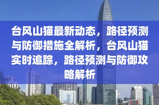 臺(tái)風(fēng)山貓最新動(dòng)態(tài)，路徑預(yù)測(cè)與防御措施全解析，臺(tái)風(fēng)山貓實(shí)時(shí)追蹤，路徑預(yù)測(cè)與防御攻略解析