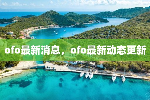 ofo最新消息，ofo最新動態(tài)更新