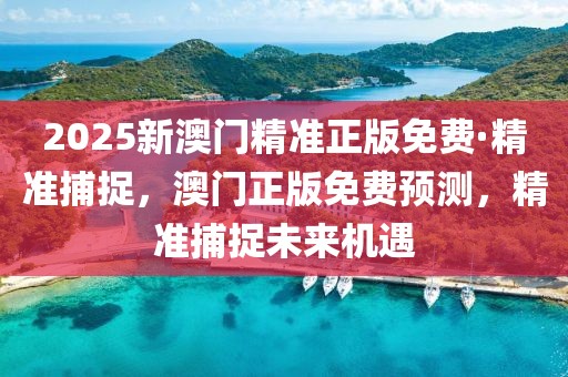 2025新澳門精準正版免費·精準捕捉，澳門正版免費預測，精準捕捉未來機遇