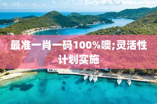 最準(zhǔn)一肖一碼100%噢;靈活性計(jì)劃實(shí)施