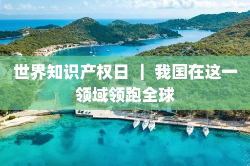 世界知識產(chǎn)權(quán)日 ｜ 我國在這一領(lǐng)域領(lǐng)跑全球