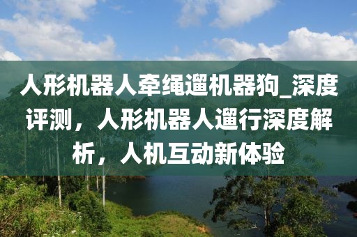 人形機器人牽繩遛機器狗_深度評測，人形機器人遛行深度解析，人機互動新體驗