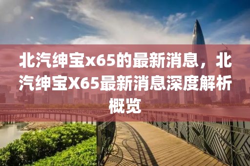 北汽紳寶x65的最新消息，北汽紳寶X65最新消息深度解析概覽