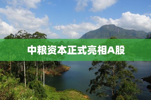 中糧資本正式亮相A股