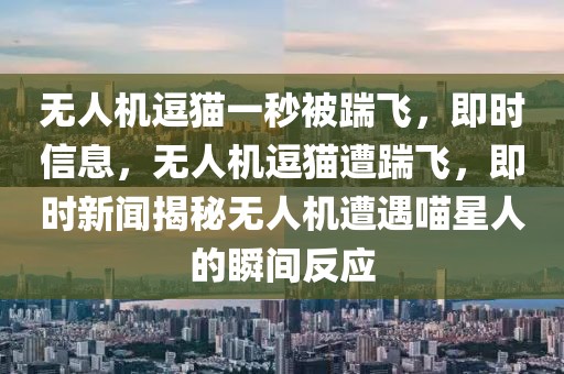 無人機(jī)逗貓一秒被踹飛，即時(shí)信息，無人機(jī)逗貓?jiān)怩唢w，即時(shí)新聞揭秘?zé)o人機(jī)遭遇喵星人的瞬間反應(yīng)