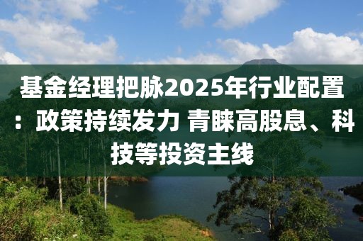 基金經(jīng)理把脈2025年行業(yè)配置：政策持續(xù)發(fā)力 青睞高股息、科技等投資主線