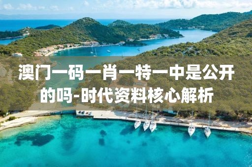 澳門一碼一肖一特一中是公開的嗎-時代資料核心解析