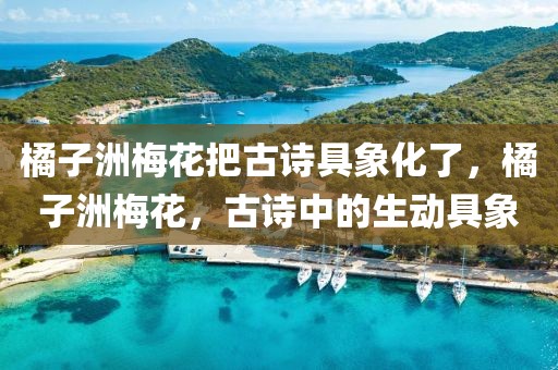 橘子洲梅花把古詩具象化了，橘子洲梅花，古詩中的生動具象