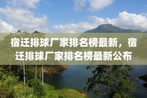 宿遷排球廠家排名榜最新，宿遷排球廠家排名榜最新公布