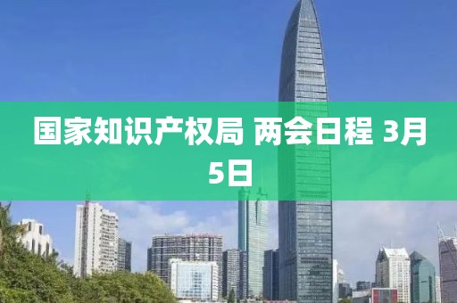 國(guó)家知識(shí)產(chǎn)權(quán)局 兩會(huì)日程 3月5日