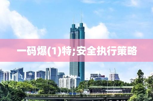 一碼爆(1)特;安全執(zhí)行策略