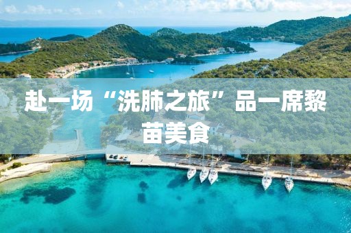 赴一場“洗肺之旅”品一席黎苗美食