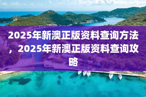 2025年新澳正版資料查詢方法，2025年新澳正版資料查詢攻略