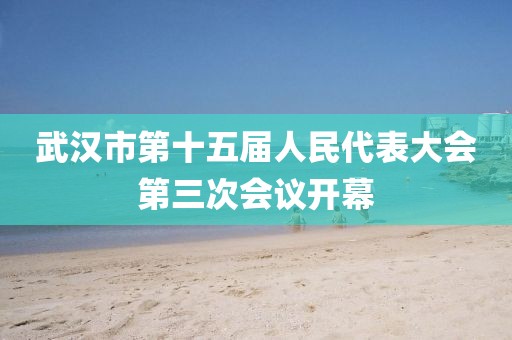 武漢市第十五屆人民代表大會第三次會議開幕